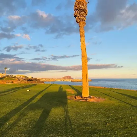 Relax Flat Palm View Apartment *